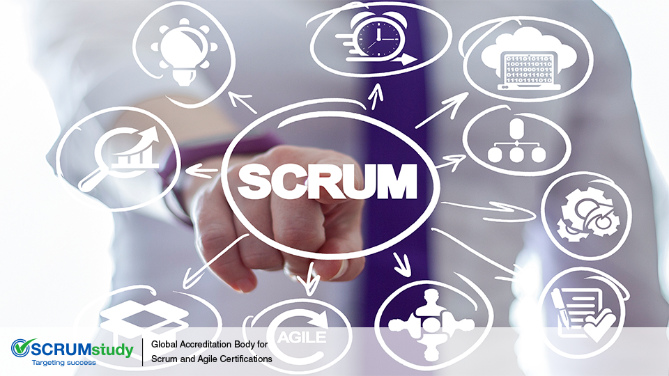 Scrum in Programs and Portfolios